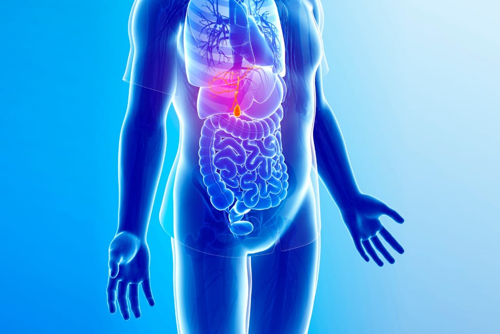 gallbladder